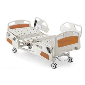 RF-838 electric five-function care bed